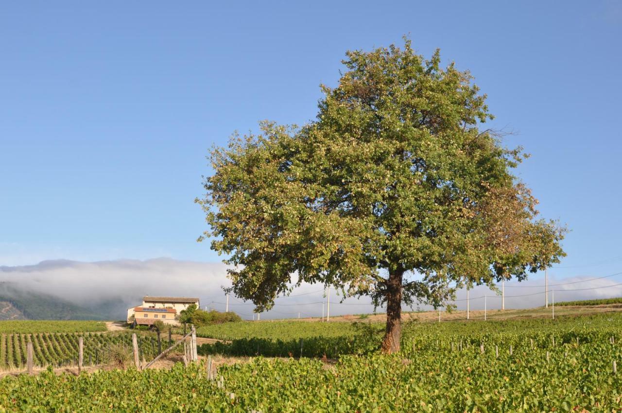 Gite Le Pot De Vin Lancié Buitenkant foto